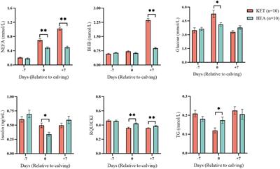 Screening for potential warning biomarkers in cows with ketosis based on host–microbiota co-metabolism analysis